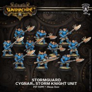 stormguard cygnar storm knight unit